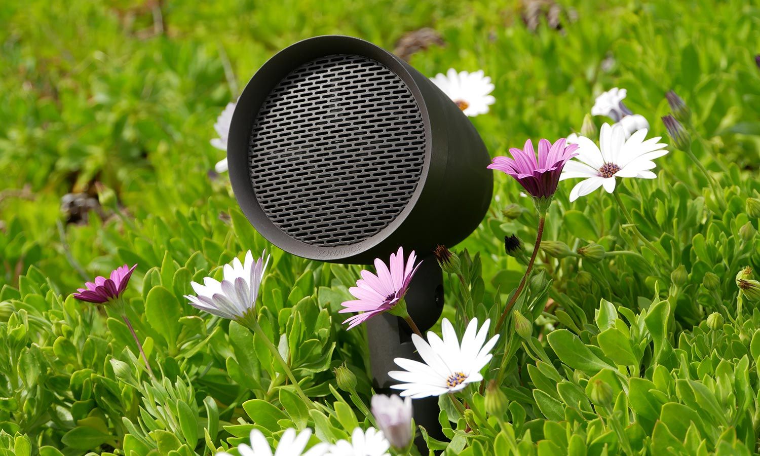 Sonance outdoor speaker nestled among flowers, blending seamlessly with the garden environment.