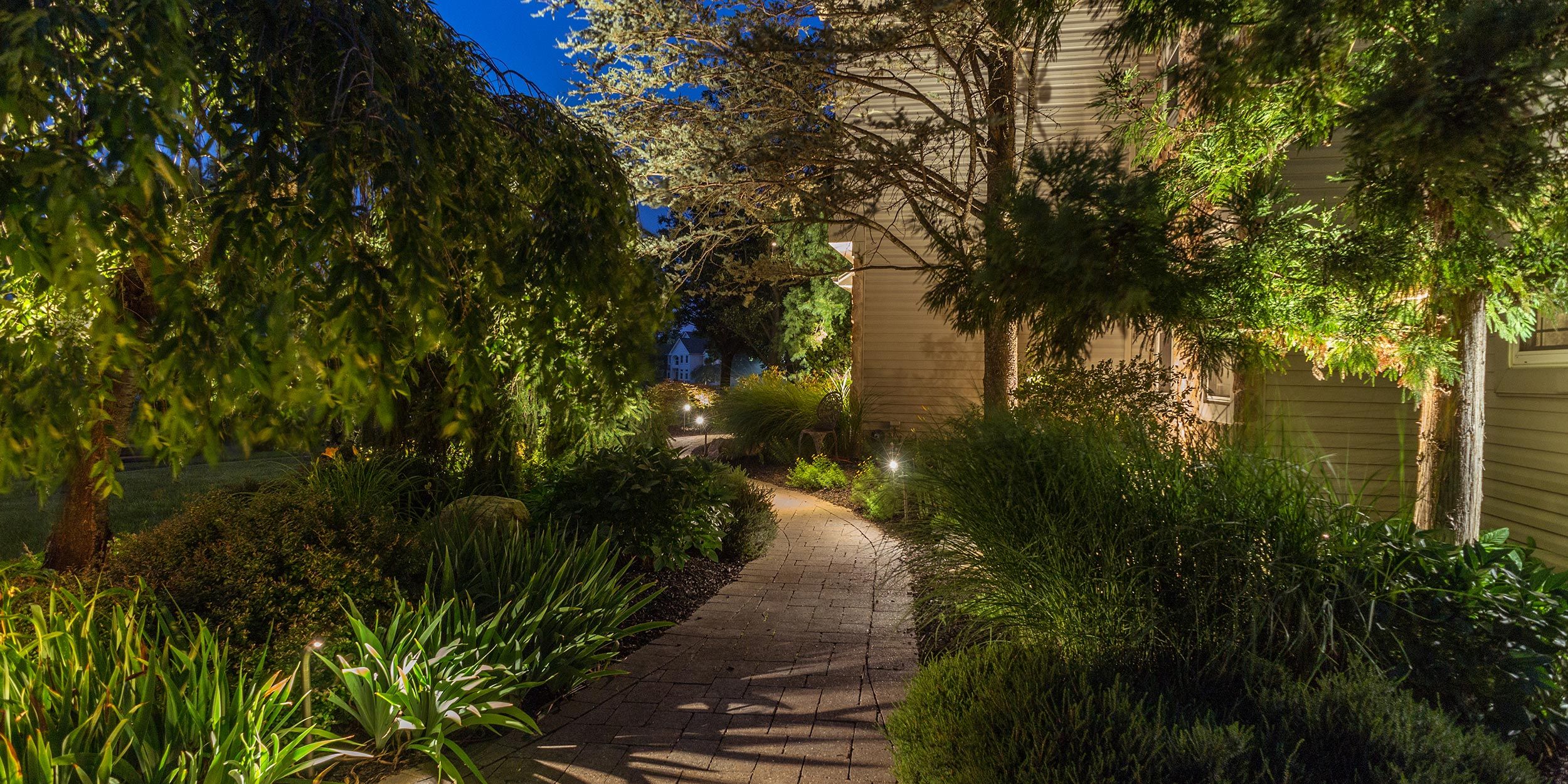 A winding, well-lit garden path lined with tall, lush greenery, creating an inviting and serene atmosphere.